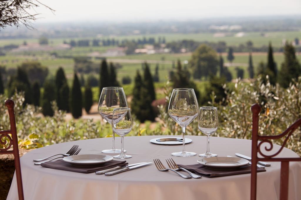 Hostellerie Du Chateau Des Fines Roches Châteauneuf-du-Pape Екстериор снимка