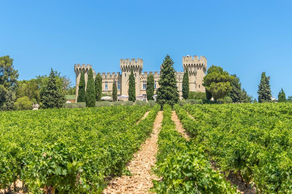 Hostellerie Du Chateau Des Fines Roches Châteauneuf-du-Pape Екстериор снимка