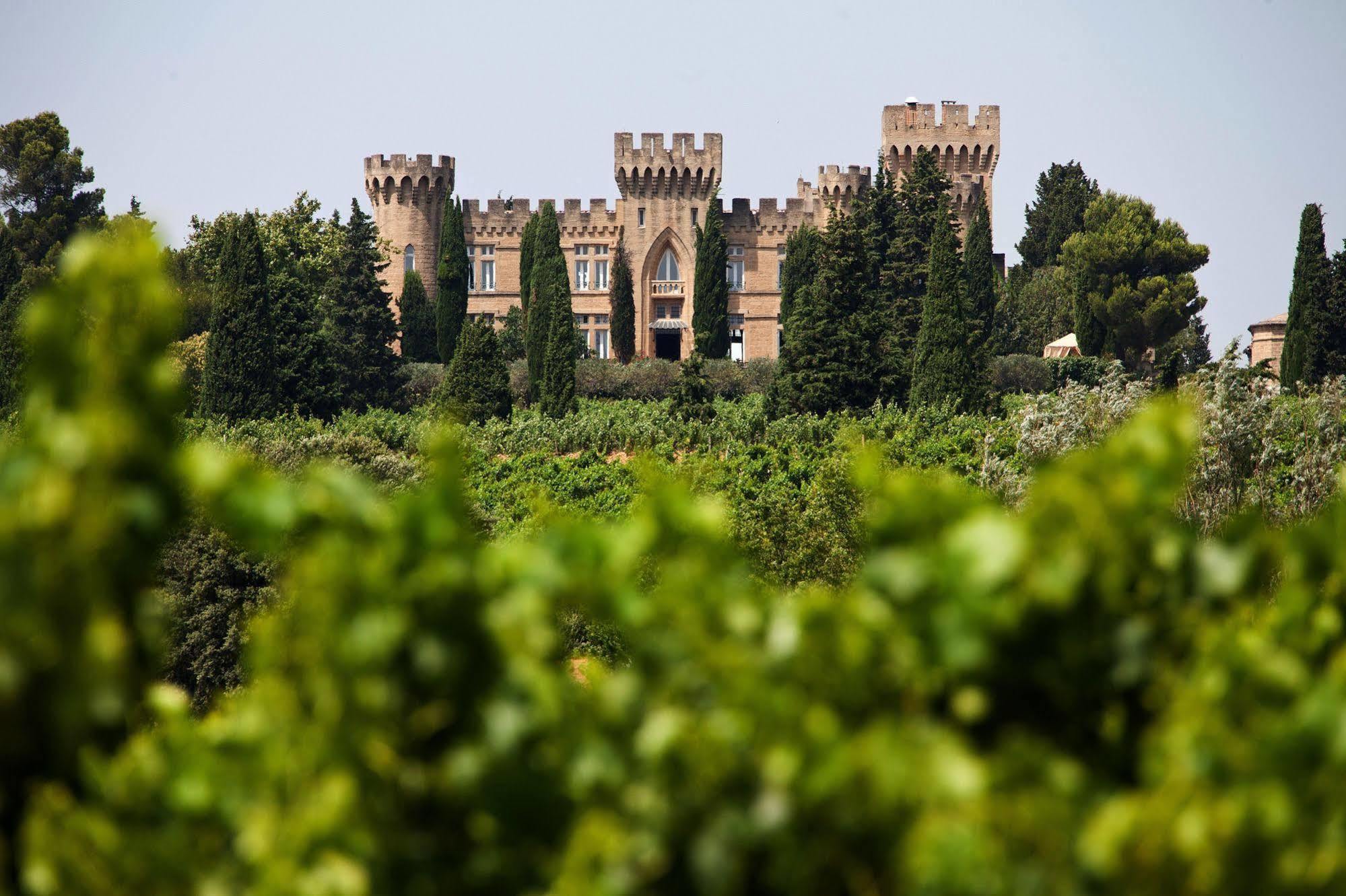 Hostellerie Du Chateau Des Fines Roches Châteauneuf-du-Pape Екстериор снимка