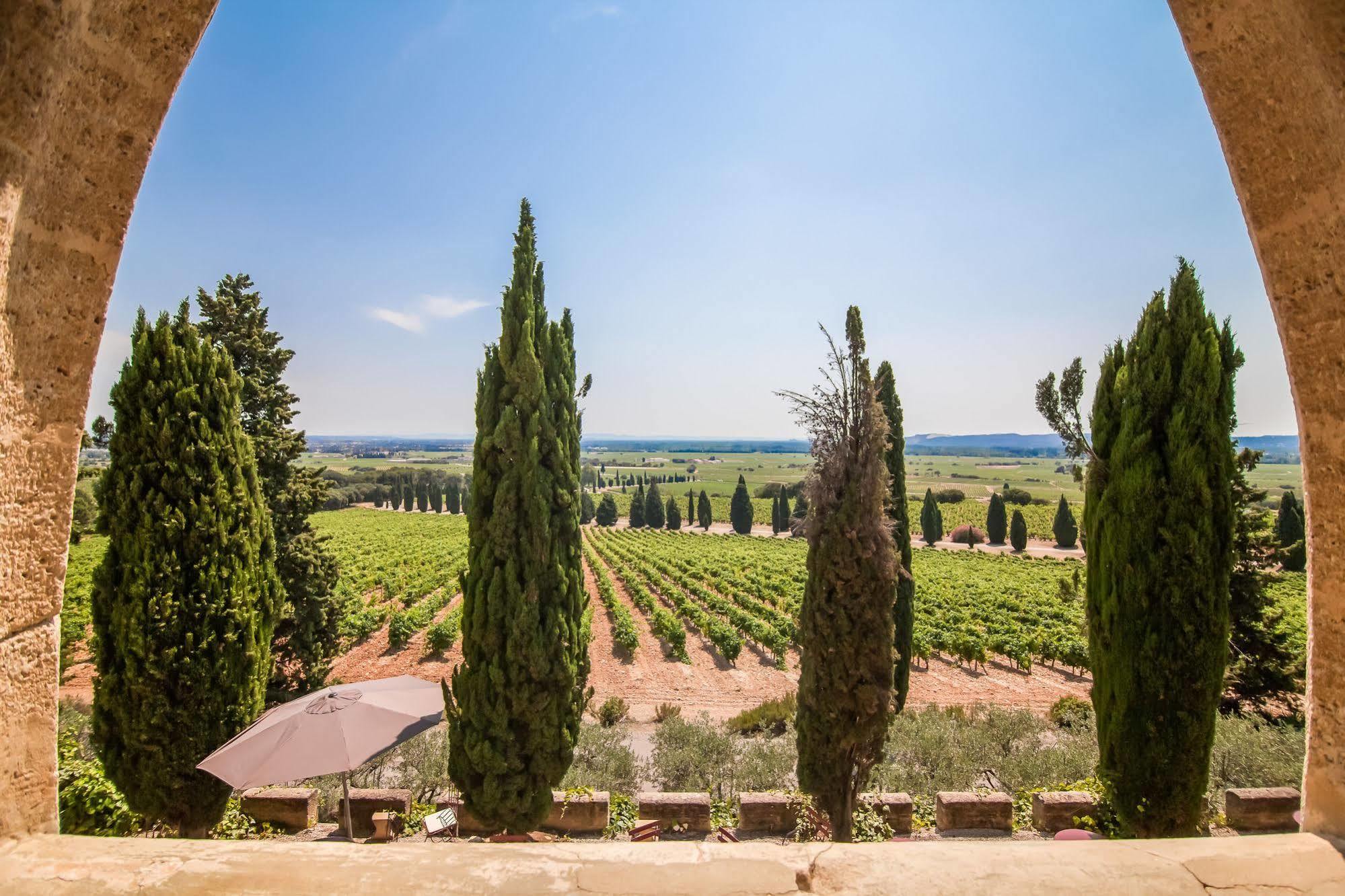 Hostellerie Du Chateau Des Fines Roches Châteauneuf-du-Pape Екстериор снимка